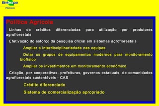 Florestas
Política Agrícola
Linhas de créditos diferenciadas para utilização por produtores
agroflorestais
Efetivação do esforço da pesquisa oficial em sistemas agroflorestais
Ampliar a interdisciplinariedade nas equipes
Dotar os grupos de equipamentos modernos para monitoramento
biofísico
Ampliar os investimentos em monitoramento econômico
Criação, por cooperativas, prefeituras, governos estaduais, de comunidades
agroflorestais sustentáveis - CAS
Crédito diferenciado
Sistema de comercialização apropriado
 