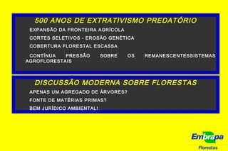 Florestas
500 ANOS DE EXTRATIVISMO PREDATÓRIO
EXPANSÃO DA FRONTEIRA AGRÍCOLA
CORTES SELETIVOS - EROSÃO GENÉTICA
COBERTURA FLORESTAL ESCASSA
CONTÍNUA PRESSÃO SOBRE OS REMANESCENTESSISTEMAS
AGROFLORESTAIS
DISCUSSÃO MODERNA SOBRE FLORESTAS
APENAS UM AGREGADO DE ÁRVORES?
FONTE DE MATÉRIAS PRIMAS?
BEM JURÍDICO AMBIENTAL!
 