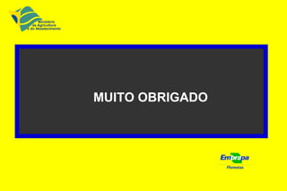 Florestas
MUITO OBRIGADO
Ministério
da Agricultura
e do Abastecimento
 