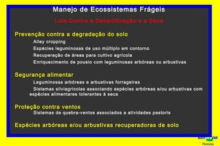 Florestas
Manejo de Ecossistemas Frágeis
Luta Contra a Desertificação e a Seca
Prevenção contra a degradação do solo
Alley cropping
Espécies leguminosas de uso múltiplo em contorno
Recuperação de áreas para cultivo agrícola
Enriquecimento de pousio com leguminosas arbóreas ou arbustivas
Segurança alimentar
Leguminosas arbóreas e arbustivas forrageiras
Sistemas silviagricolas associando espécies arbóreas e/ou arbustivas com
espécies alimentares tolerantes à seca
Proteção contra ventos
Sistemas de quebra-ventos associados a atividades pastoris
Espécies arbóreas e/ou arbustivas recuperadoras de solo
 