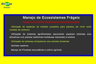 Florestas
Manejo de Ecossistemas Frágeis
Desenvolvimento Sustentável das Montanhas
Utilização de espécies de múltiplo propósito para plantios em nível como
cordões de contorno
Utilização de sistemas agroflorestais associando espécies arbóreas e/ou
arbustivas com plantas medicinais herbáceas tolerantes à sombra
Utilização de sistemas silvipastoris com animais silvestres
Quintais caseiros
Manejo de Florestas secundárias e cultivo agrícola
 