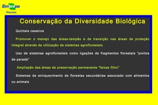 Florestas
Conservação da Diversidade Biológica
Quintais caseiros
Promover o manejo das áreas-tampão e de transição nas áreas de proteção
integral através da utilização de sistemas agroflorestais
Uso de sistemas agroflorestais como ligações de fragmentos florestais “pontos
de parada”
Ampliação das áreas de preservação permanente “faixas filtro”
Sistemas de enriquecimento de florestas secundárias associado com alimentos
ou animais
 