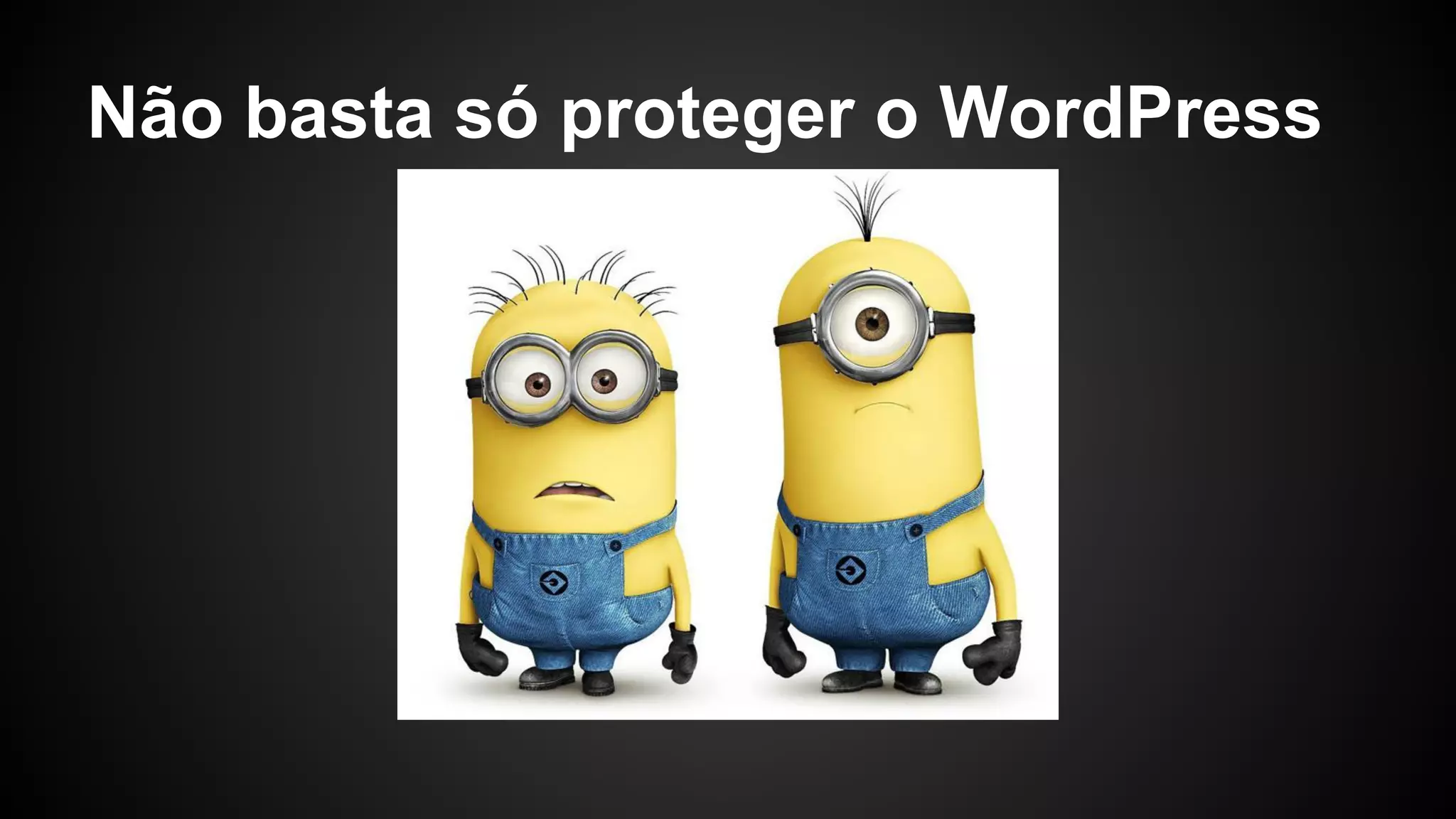 Não basta só proteger o WordPress
 