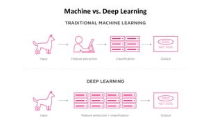 Machine vs. Deep Learning
 