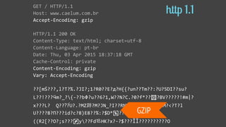 GET  /  HTTP/1.1  
Host:  www.caelum.com.br  
Accept-­‐Encoding:  gzip  
HTTP/1.1  200  OK  
Content-­‐Type:  text/html;  ...
