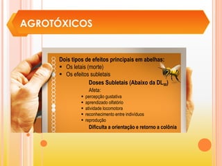 AGROTÓXICOS
Dois tipos de efeitos principais em abelhas:
 Os letais (morte)
 Os efeitos subletais
Doses Subletais (Abaixo da DL50)
Afeta:
 percepção gustativa
 aprendizado olfatório
 atividade locomotora
 reconhecimento entre indivíduos
 reprodução
Dificulta a orientação e retorno a colônia
 