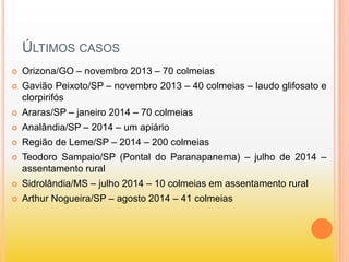 ÚLTIMOS CASOS
 Orizona/GO – novembro 2013 – 70 colmeias
 Gavião Peixoto/SP – novembro 2013 – 40 colmeias – laudo glifosato e
clorpirifós
 Araras/SP – janeiro 2014 – 70 colmeias
 Analândia/SP – 2014 – um apiário
 Região de Leme/SP – 2014 – 200 colmeias
 Teodoro Sampaio/SP (Pontal do Paranapanema) – julho de 2014 –
assentamento rural
 Sidrolândia/MS – julho 2014 – 10 colmeias em assentamento rural
 Arthur Nogueira/SP – agosto 2014 – 41 colmeias
 