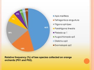 Relative frequency (%) of bee species collected on orange
orchards (P01 and P02).
 