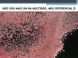 NÃO SOU MAIS UM NA MULTIDÃO, MEU DIFERENCIAL É: 
