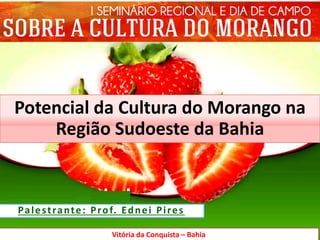 Potencial da Cultura do Morango na
Região Sudoeste da Bahia
Potencial da Cultura do Morango na
Região Sudoeste da Bahia
Vitória da Conquista – Bahia
Palestrante: Prof. Ednei Pires
 