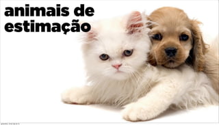 animais de
estimação
quinta-feira, 16 de maio de 13
 