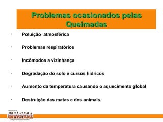 Problemas ocasionados pelas Queimadas Poluição  atmosférica Problemas respiratórios Incômodos a vizinhança Degradação do solo e cursos hídricos Aumento da temperatura causando o aquecimento global Destruição das matas e dos animais. 