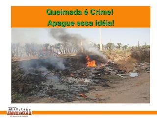Queimada é Crime!  Apague essa idéia! 