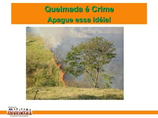 Queimada é Crime Apague essa idéia! 