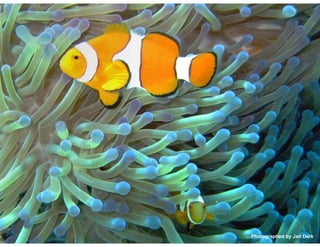 Photographed by Jan Derk
 