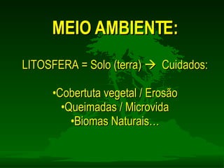 LITOSFERA = Solo (terra)     Cuidados: Cobertuta vegetal / Erosão Queimadas / Microvida Biomas Naturais… MEIO AMBIENTE: 
