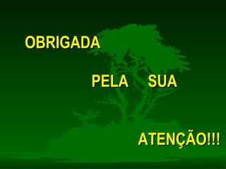 OBRIGADA PELA  SUA  ATENÇÃO!!! 