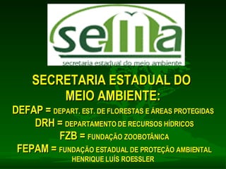 SECRETARIA ESTADUAL DO  MEIO AMBIENTE: DEFAP =  DEPART. EST. DE FLORESTAS E ÁREAS PROTEGIDAS DRH =  DEPARTAMENTO DE RECURSOS HÍDRICOS FZB =  FUNDAÇÃO ZOOBOTÂNICA FEPAM =  FUNDAÇÃO ESTADUAL DE PROTEÇÃO AMBIENTAL HENRIQUE LUÍS ROESSLER 