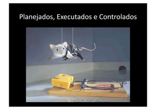 Planejados, Executados e Controlados 
 