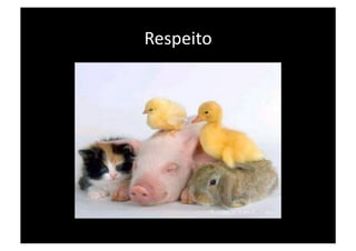 Respeito 
 
