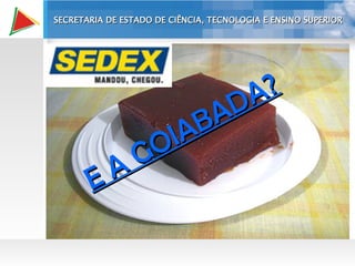 E A GOIABADA? SECRETARIA DE ESTADO DE CIÊNCIA, TECNOLOGIA E ENSINO SUPERIOR 