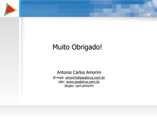 Muito Obrigado! Antonio Carlos Amorim e -mail:  [email_address] site:  www.peabirus.com.br skype: carl.amorim 