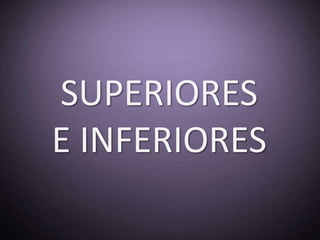SUPERIORES
E INFERIORES
 