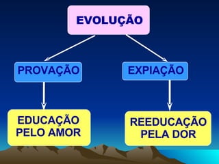 EVOLUÇÃO PROVAÇÃO EXPIAÇÃO EDUCAÇÃO PELO AMOR REEDUCAÇÃO  PELA DOR  