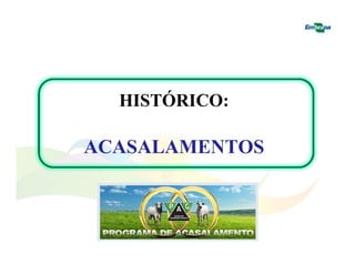 HISTÓRICO: 
ACASALAMENTOS 
 