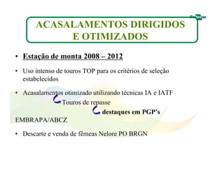 ACASALAMENTOS DIRIGIDOS 
E OTIMIZADOS 
• Estação de monta 2008 – 2012 
• Uso intenso de touros TOP para os critérios de seleção 
estabelecidos 
• Acasalamentos otimizado utilizando técnicas IA e IATF 
Touros de repasse 
destaques em PGP’s 
EMBRAPA/ABCZ 
• Descarte e venda de fêmeas Nelore PO BRGN 
 