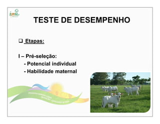 TESTE DE DESEMPENHO 
 Etapas: 
I – Pré-seleção: 
- Potencial individual 
- Habilidade maternal 
 