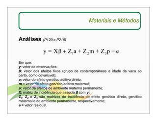 Análises (P120 e P210) 
Materiais e Métodos 
y = Xβ Z a + Z m + Z p + e 1 2 3  
Em que: 
y: vetor de observações; 
β: vetor dos efeitos fixos (grupo de contemporâneos e idade da vaca ao 
parto, como covariável); 
a: vetor do efeito genético aditivo direto; 
m = vetor de efeito genético aditivo maternal; 
p: vetor de efeitos de ambiente materno permanente; 
X: matriz de incidência que associa β com y; 
Z1, Z2 e Z3 são matrizes de incidência do efeito genético direto, genético 
maternal e de ambiente permanente, respectivamente; 
e = vetor residual. 
 