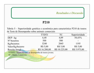 Resultados e Discussão 
P210 
Tabela 5 – Superioridade genética e econômica para característica P210 de touros 
de Teste de Desempenho sobre animais comerciais 
TTDTJ TC Superioridade 
DEP - kg 6,48 4,09 58,43% 
Nº bezerros 500 500 - 
Kg/bezerros 3240 2045 1195 
Valor/Kg/bezerro R$ 5,00 R$ 5,00 R$ 5,00 
Receita Anual R$ 16.200,00 R$ 10.225,00 R$ 5.975,00 
*TTDTJ - Touros de teste de desempenho de touros jovens; 
TC - Touros Comerciais 
 