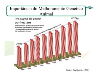 Importância do Melhoramento Genético 
Animal 
Fonte: beefpoint, (2011) 
 