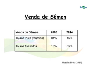 Venda de Sêmen 
Venda de Sêmen 2000 2014 
Touros Pista (fenótipo) 81% 15% 
Touros Avaliados 19% 85% 
Morales Brito (2014) 
 