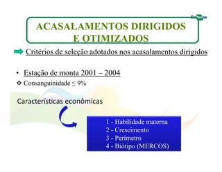 ACASALAMENTOS DIRIGIDOS 
E OTIMIZADOS 
Critérios de seleção adotados nos acasalamentos dirigidos 
• Estação de monta 2001 – 2004 
 Consanguinidade ≤ 9% 
1 - Habilidade materna 
2 - Crescimento 
3 - Perímetro 
4 - Biótipo (MERCOS) 
 