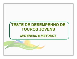 TESTE DE DESEMPENHO DE 
TOUROS JOVENS 
MATERIAIS E MÉTODOS 
 