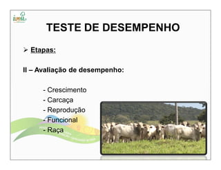 TESTE DE DESEMPENHO 
 Etapas: 
II – Avaliação de desempenho: 
- Crescimento 
- Carcaça 
- Reprodução 
- Funcional 
- Raça 
 