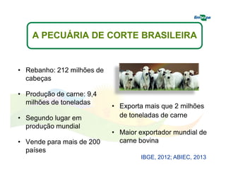 A PECUÁRIA DE CORTE BRASILEIRA 
• Rebanho: 212 milhões de 
cabeças 
• Produção de carne: 9,4 
milhões de toneladas 
• Segundo lugar em 
produção mundial 
• Vende para mais de 200 
países 
• Exporta mais que 2 milhões 
de toneladas de carne 
• Maior exportador mundial de 
carne bovina 
IBGE, 2012; ABIEC, 2013 
 