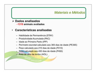  Dados analisados 
–1319 animais avaliados 
• Características analisadas 
Materiais e Métodos 
– Habilidade de Permanência (STAY) 
– Produtividade Acumulada (PAC) 
– Idade ao Primeiro Parto (IPP) 
– Perímetro escrotal calculado aos 365 dias de idade (PE365) 
– Peso calculado aos 210 dias de idade (P210) 
– Peso calculado aos 450 dias de idade (P450) 
– Área de olho de lombo (AOL). 
 