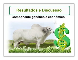 Resultados e Discussão 
Componente genético e econômico 
 