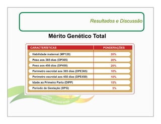 Resultados e Discussão 
Mérito Genético Total 
 