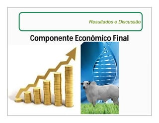 Resultados e Discussão 
Componente Econômico Final 
 