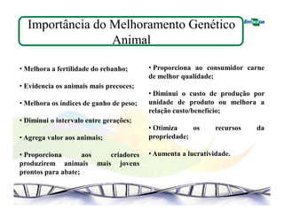 Importância do Melhoramento Genético 
Animal 
• Melhora a fertilidade do rebanho; 
• Evidencia os animais mais precoces; 
• Melhora os índices de ganho de peso; 
• Diminui o intervalo entre gerações; 
• Agrega valor aos animais; 
• Proporciona aos criadores 
produzirem animais mais jovens 
prontos para abate; 
• Proporciona ao consumidor carne 
de melhor qualidade; 
• Diminui o custo de produção por 
unidade de produto ou melhora a 
relação custo/benefício; 
• Otimiza os recursos da 
propriedade; 
• Aumenta a lucratividade. 
 
