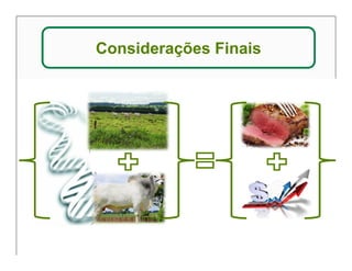 Considerações Finais 
 