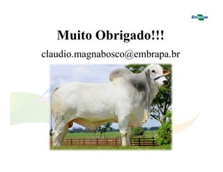 Muito Obrigado!!! 
claudio.magnabosco@embrapa.br 
