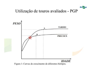 Utilização de touros avaliados - PGP 
Figura 1: Curvas de crescimento de diferentes biótipos. 
 