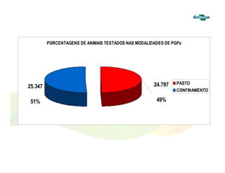 PORCENTAGENS DE ANIMAIS TESTADOS NAS MODALIDADES DE PGPs 
25.347 
51% 
24.797 
49% 
PASTO 
CONFINAMENTO 
 