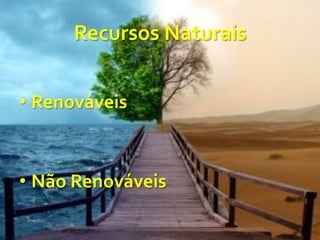 Recursos	
  Naturais	
  
• Renováveis	
  
• Não	
  Renováveis	
  
 