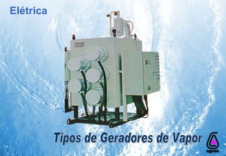 Tipos de Geradores de Vapor Elétrica 